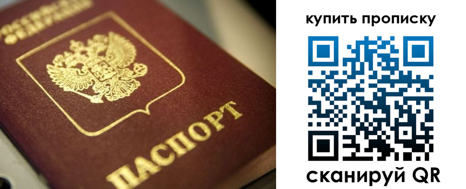 прописка поиск в Кулебаки